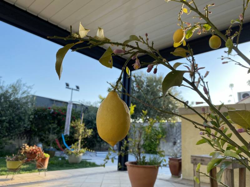 Pergola bioclimatique adossée à lames orientables en Arles